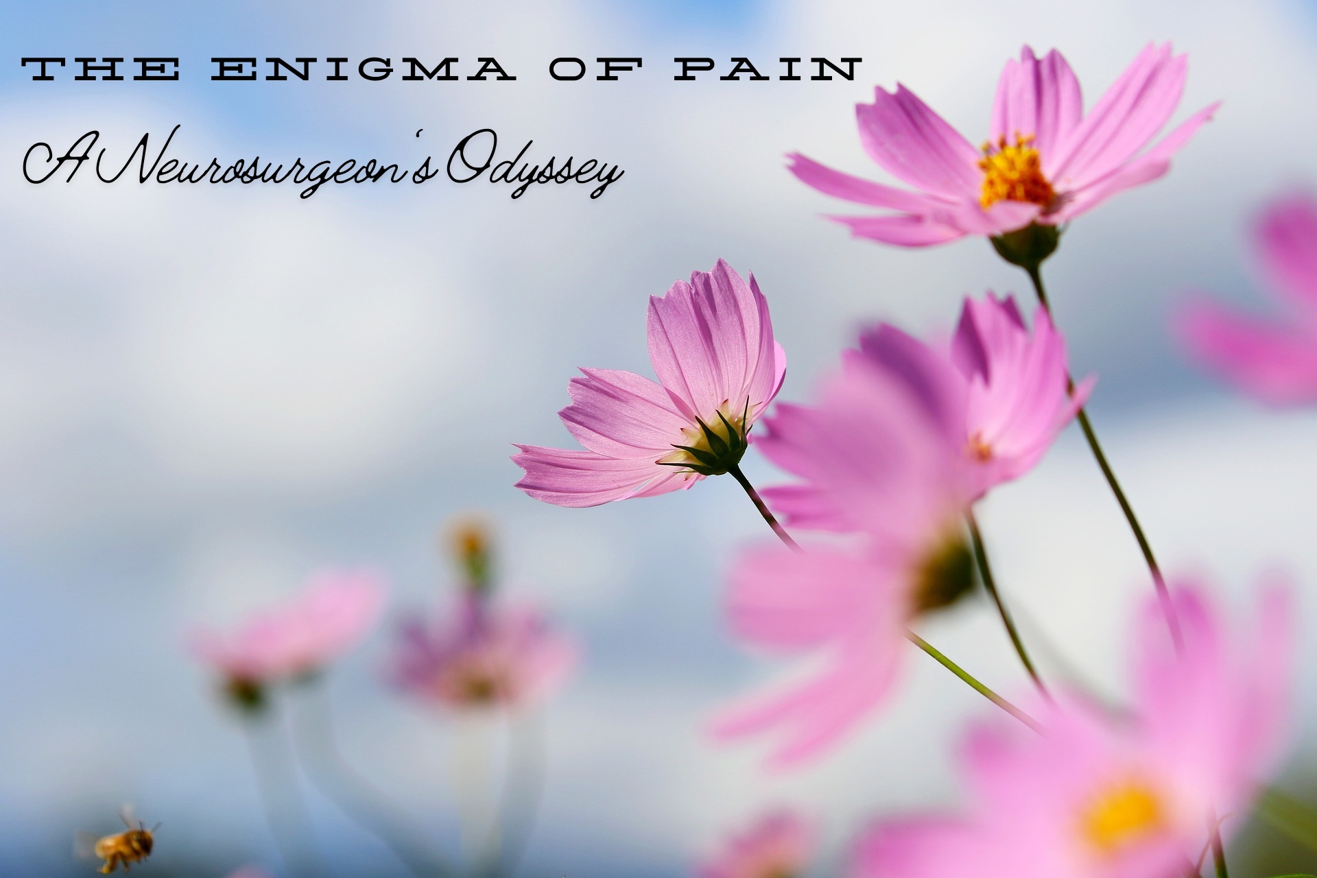 The Enigma of Pain: A Neurosurgeon’s Odyssey